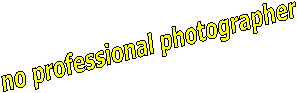 no professional photographer